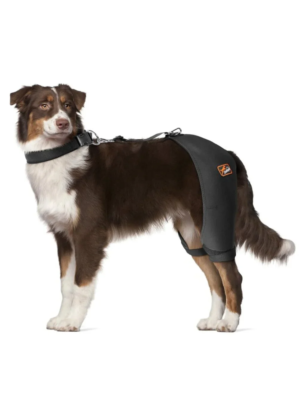 Dollephi XL Dog Hip Brace with Hot/Cold Compress, Support Arthritis, Back Leg